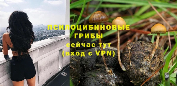мдма Заводоуковск