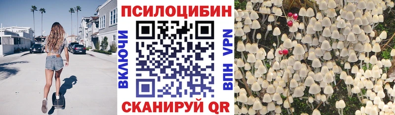 Галлюциногенные грибы прущие грибы  Лахденпохья 
